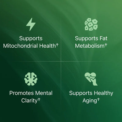 Amla Superfruit Capsules